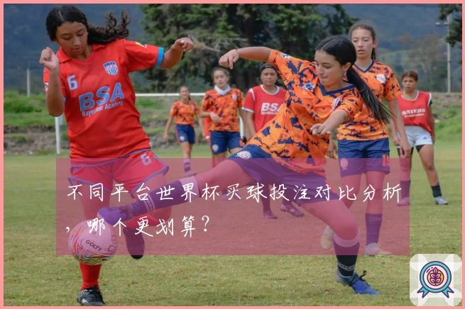 不同平台世界杯买球投注对比分析，哪个更划算？