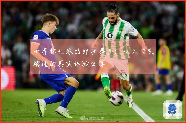 世界杯让球的那些事儿：从入门到精通的真实体验分享