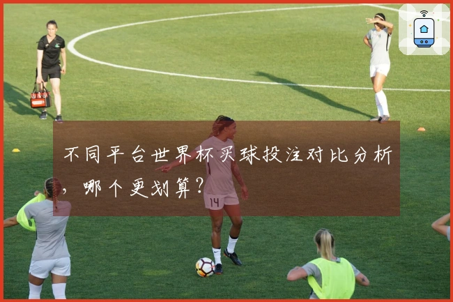 不同平台世界杯买球投注对比分析，哪个更划算？